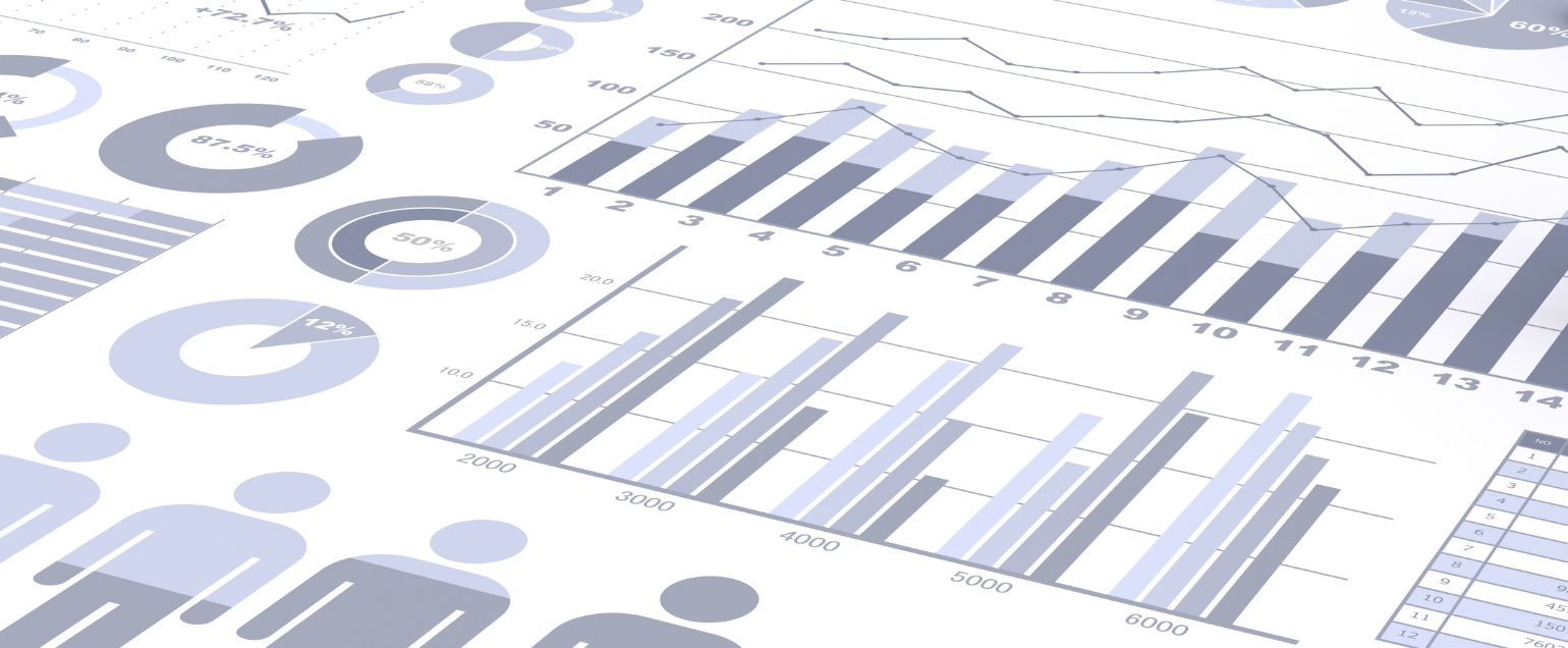 Hashimoto Sogyo Holdings Group at a Glance