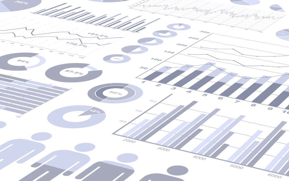 Hashimoto Sogyo Holdings Group at a Glance