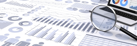 Hashimoto Sogyo Holdings Group at a Glance